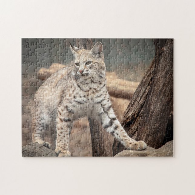Portrait eines Bobcat Puzzle (Horizontal)