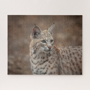 Portrait eines Bobcat Puzzle