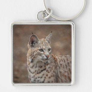 Portrait eines Bobcat Schlüsselanhänger