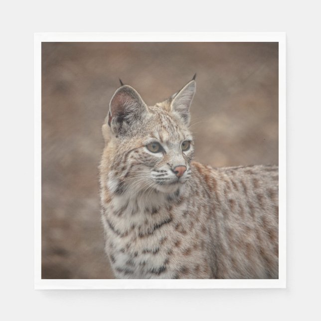 Portrait eines Bobcat Serviette (Vorderseite)