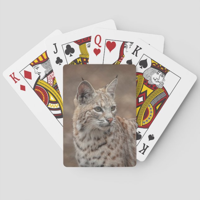Portrait eines Bobcat Spielkarten (Rückseite)