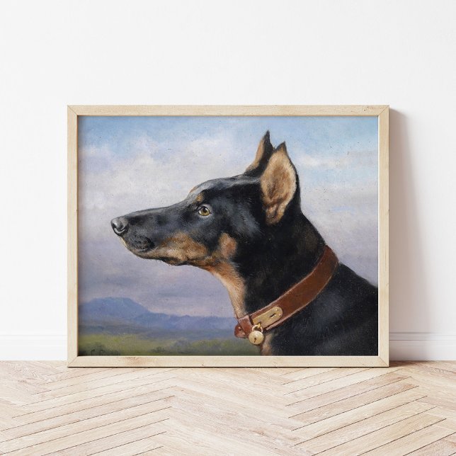 Portrait eines Doberman | Carl Reichert Poster (Von Creator hochgeladen)