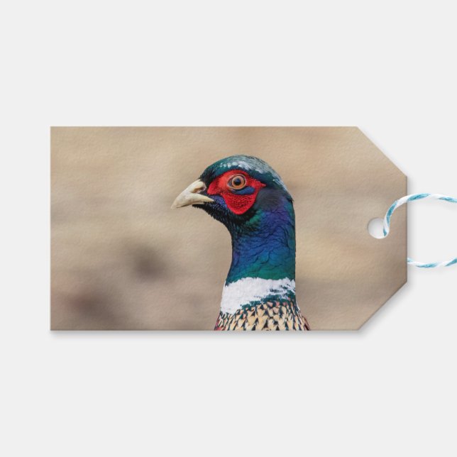 Portrait eines Fasans Geschenkanhänger (Vorderseite (Horizontal))