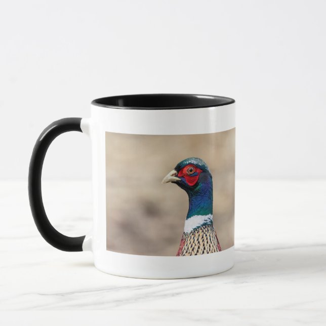 Portrait eines Fasans Tasse (Links)