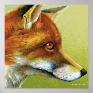 Portrait eines Fox Fine Art Poster Prints