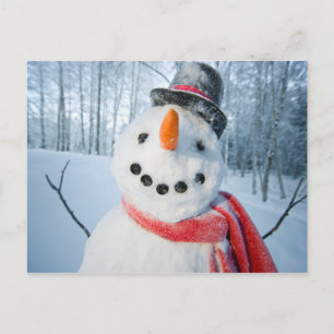 Portrait eines glücklichen Schneemans Feiertagspostkarte