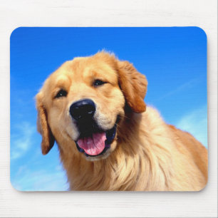 Portrait eines Goldenen Retriever Mousepad