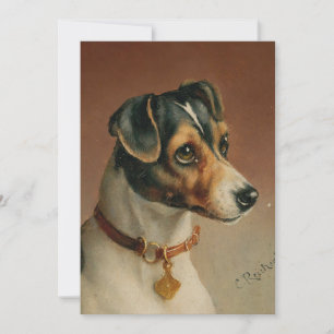 Portrait eines Jacks Russel Terrier   Carl Reicher