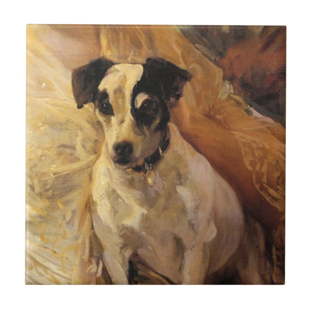 Portrait eines Jacks Russell Dog (Tierart) Fliese (Vorderseite)