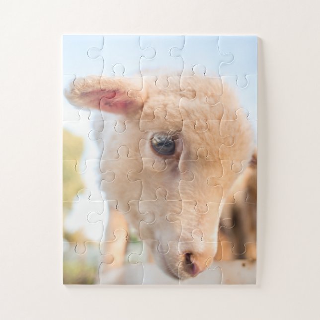Portrait eines kleinen Lammes Puzzle (Vertikal)