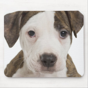 Portrait eines kleinen Welpen Mousepad