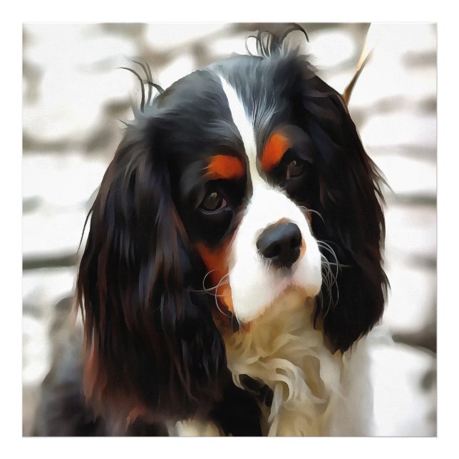 Portrait eines Königs Charles Cavalier Spaniel Fotodruck (Vorne)