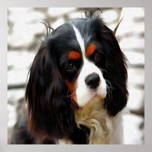 Portrait eines Königs Charles Cavalier Spaniel Poster