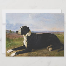 Portrait eines Mastiff Labrador Hundes (Rosa Bonhe