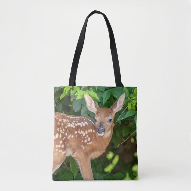 Portrait eines Neugeborenen (Weißschwanzhirsche) (Vorderseite)