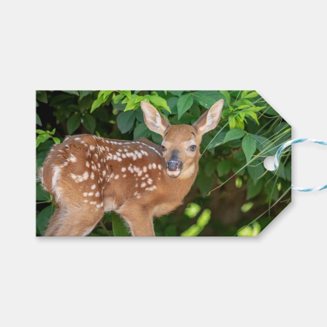 Portrait eines Neugeborenen (Weißschwanzhirsche) Geschenkanhänger (Vorderseite (Horizontal))