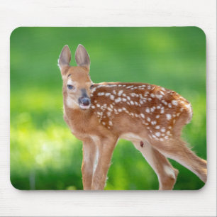 Portrait eines Neugeborenen (Weißschwanzhirsche) Mousepad