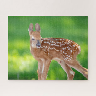 Portrait eines Neugeborenen (Weißschwanzhirsche) Puzzle