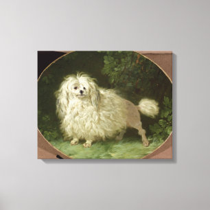 Portrait eines Poodles Leinwanddruck