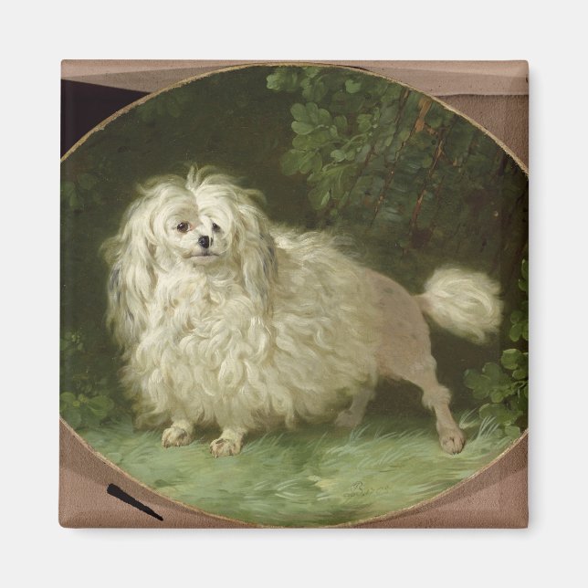 Portrait eines Poodles Magnet (Vorne)