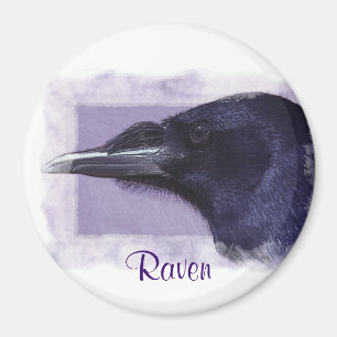 Portrait eines Raven Corvid Liebhaber des Kunstdes Magnet