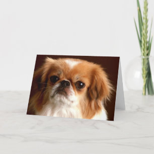 Portrait eines Spaniels Feiertagskarte