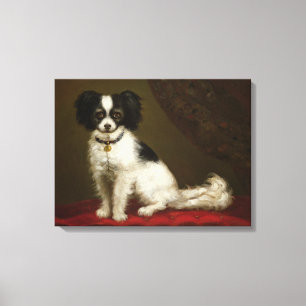 Portrait eines Spaniels Leinwanddruck