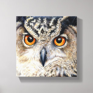 Portrait eines Uhu-Boxed-Leinwand-Drucks Leinwanddruck