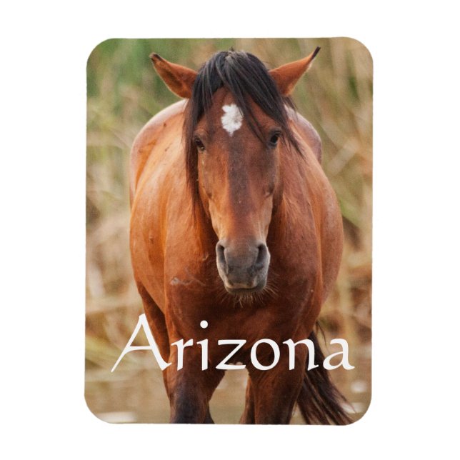 Portrait eines wilden Mustang, Arizona Magnet (Vertikal)