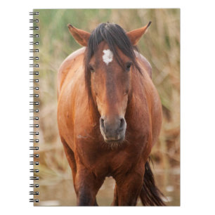 Portrait eines wilden Mustang Notizblock