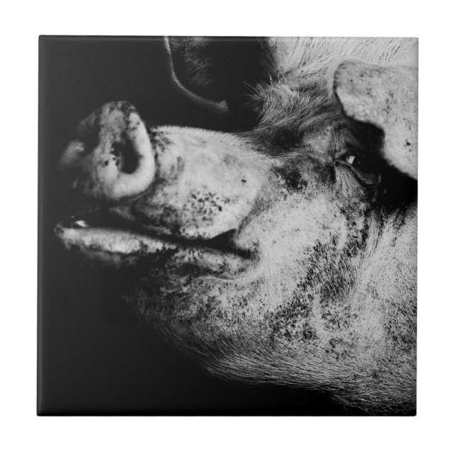 Portrait Fliese (Vorderseite)