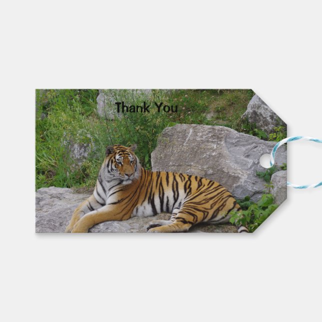 Portrait-Foto eines sibirischen Tigers Geschenkanhänger (Vorderseite (Horizontal))