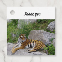 Portrait-Foto eines sibirischen Tigers