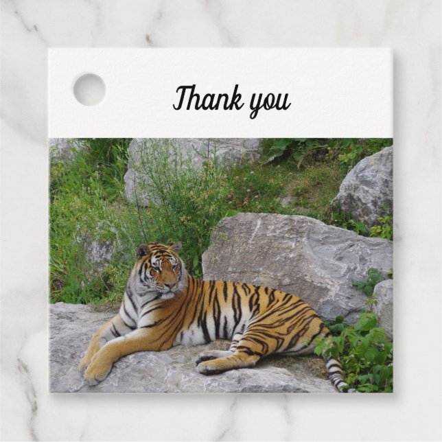 Portrait-Foto eines sibirischen Tigers Geschenkanhänger (Vorderseite)