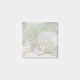 Portrait-Foto eines sibirischen Tigers Post-it Klebezettel