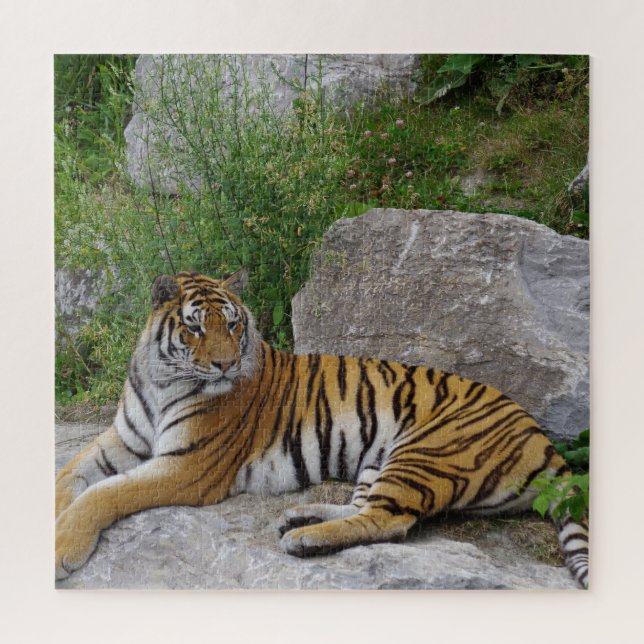 Portrait-Foto eines sibirischen Tigers Puzzle (Vertikal)