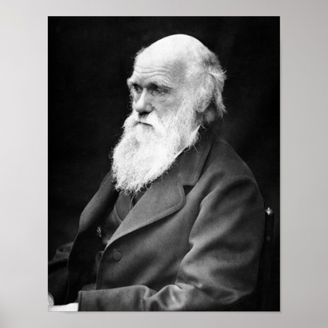 Portrait Foto von Charles Darwin Poster (Vorne)