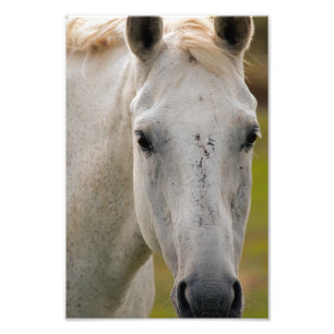 Portrait Fotodruck