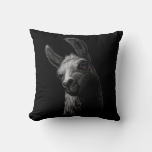 Portrait Head Niedlich Llama mit schwarzem Hinterg Kissen