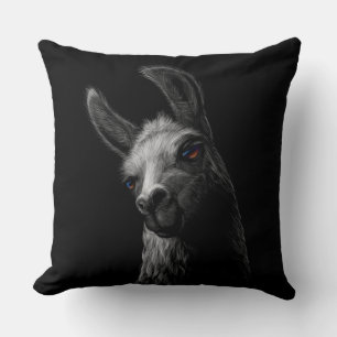 Portrait Head Niedlich Llama mit schwarzem Hinterg Kissen