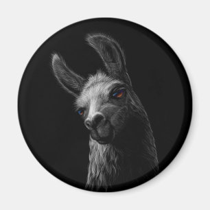 Portrait Head Niedlich Llama mit schwarzem Hinterg Magnet