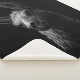 Portrait Head Niedlich Llama mit schwarzem Hinterg Sherpadecke