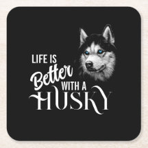 Portrait Head Siberischer Husky mit blauen Augen