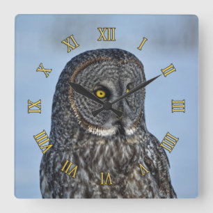 Portrait II: The Great Gray Owl Wildlife Foto Quadratische Wanduhr