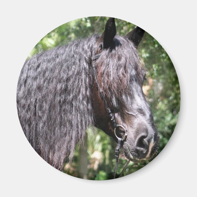 Portrait Magnet (Vorne)