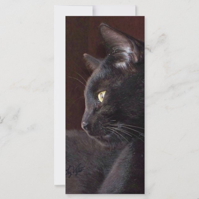 Portrait My Boy Charlie Lesezeichen (Vorderseite)