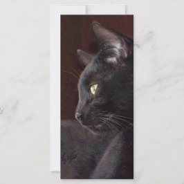 Portrait My Boy Charlie Lesezeichen