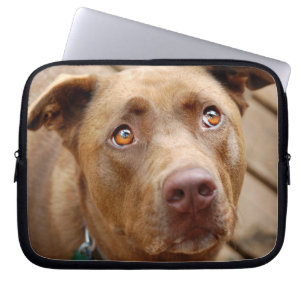 Portrait niedliche Schokolade Labrador Pit Mix Dog Laptopschutzhülle
