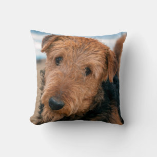 Portrait of a Airedale Terrier Kissen