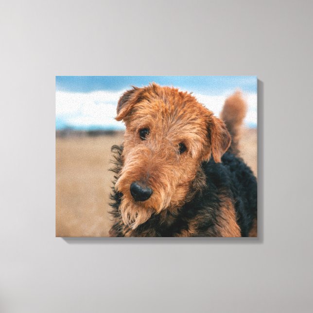 Portrait of a Airedale Terrier Leinwanddruck (Vorderseite)